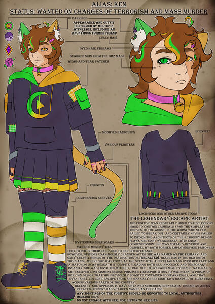 Character created via the constraint of a wanted poster